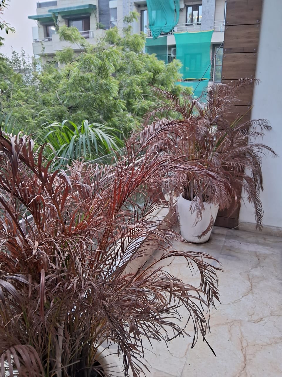 IMG-20241020-WA0069-1