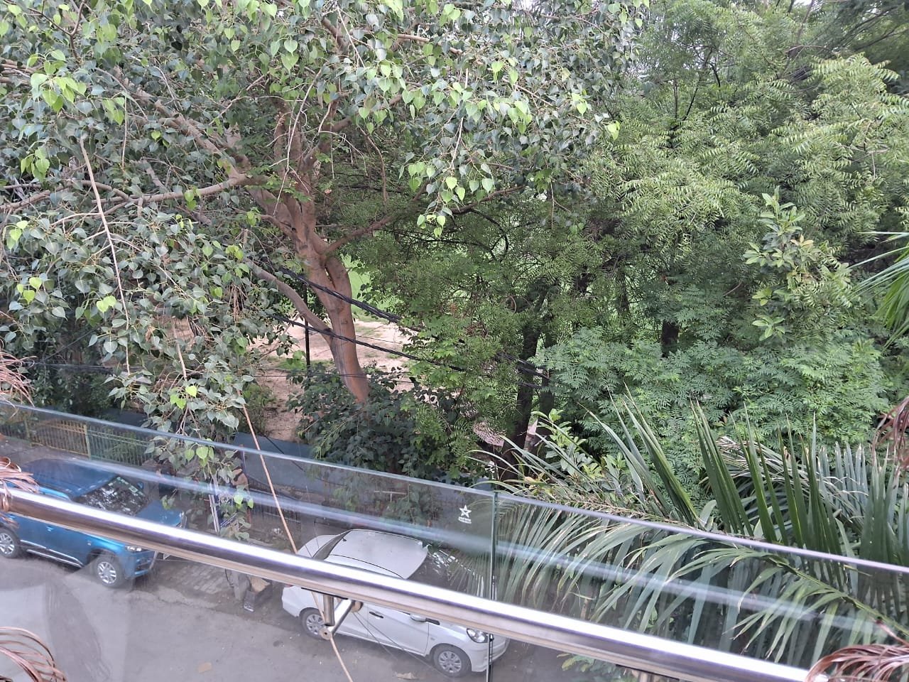 IMG-20241020-WA0070-1